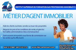 Lire la suite à propos de l’article Le Métier d’Agent Immobilier Au Cameroun